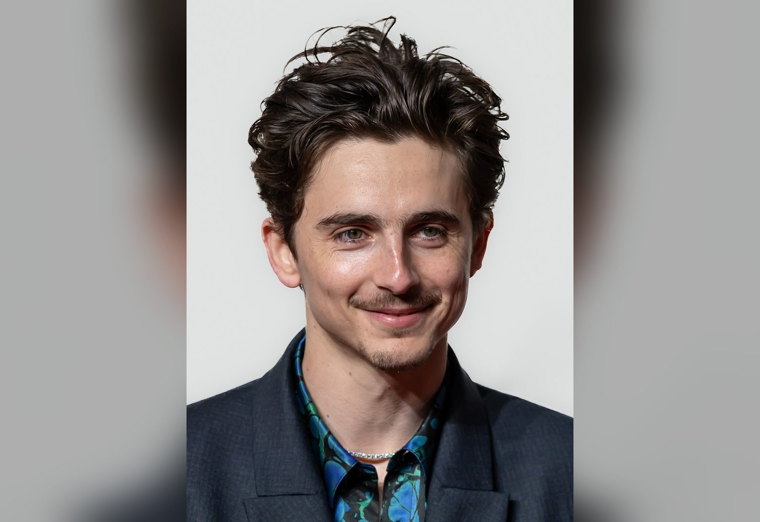 Wie is Timothée Chalamet? Leeftijd, films, vriendin en zijn doorbraak in Hollywood